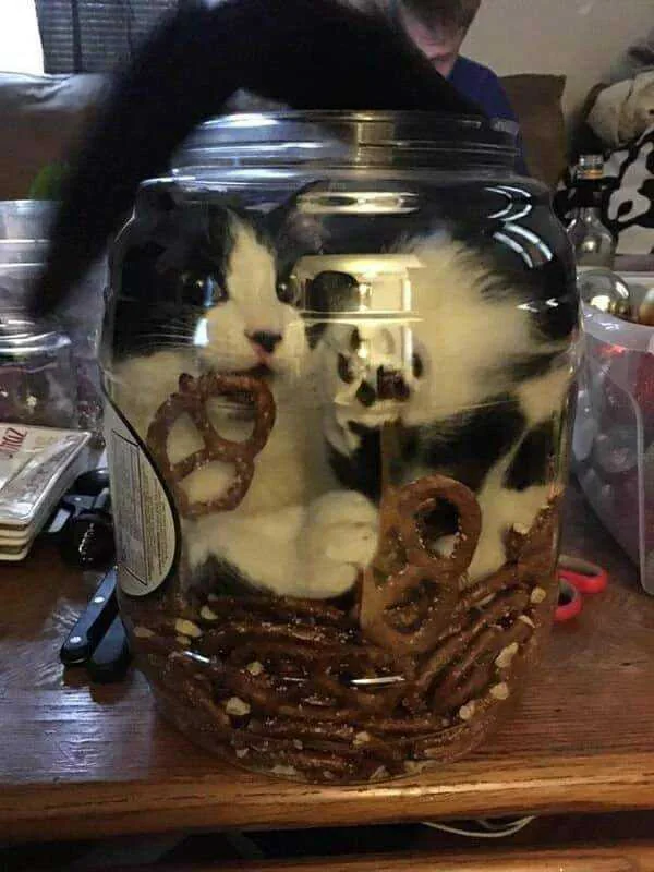 jar position